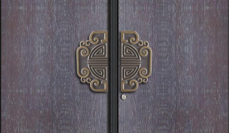 別墅入戶(hù)門(mén)非標定制拉手